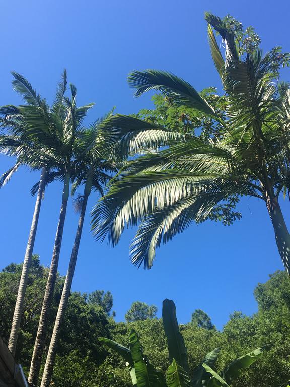 Отель Pousada Jardim Da Lagoa Флорианополис Экстерьер фото